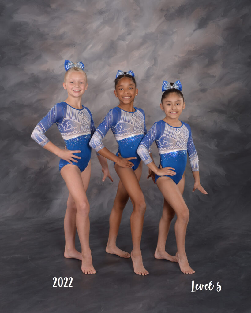 Artistic Gymnastics Powerhouse Gymnastics Training Center